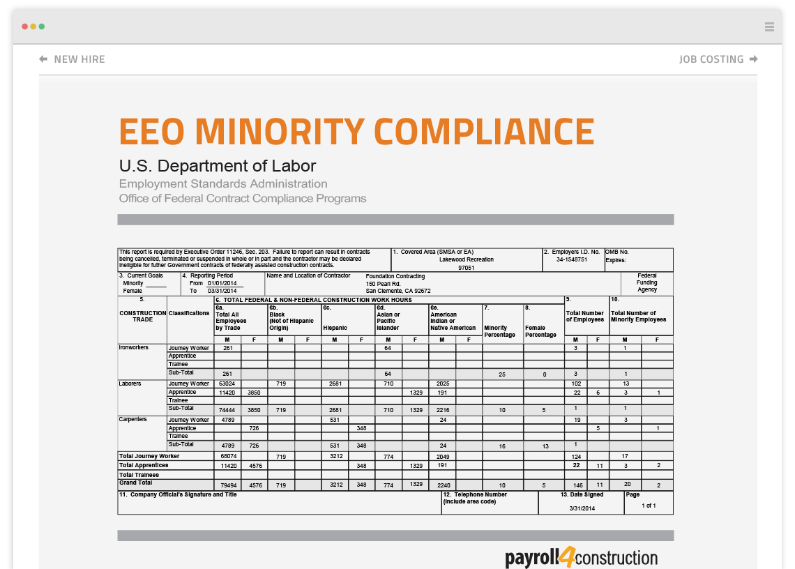 EEO minority compliance report image